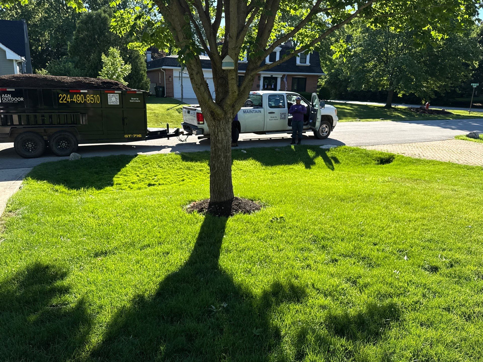 Lesley D. - Arlington Heights, IL by A&N 