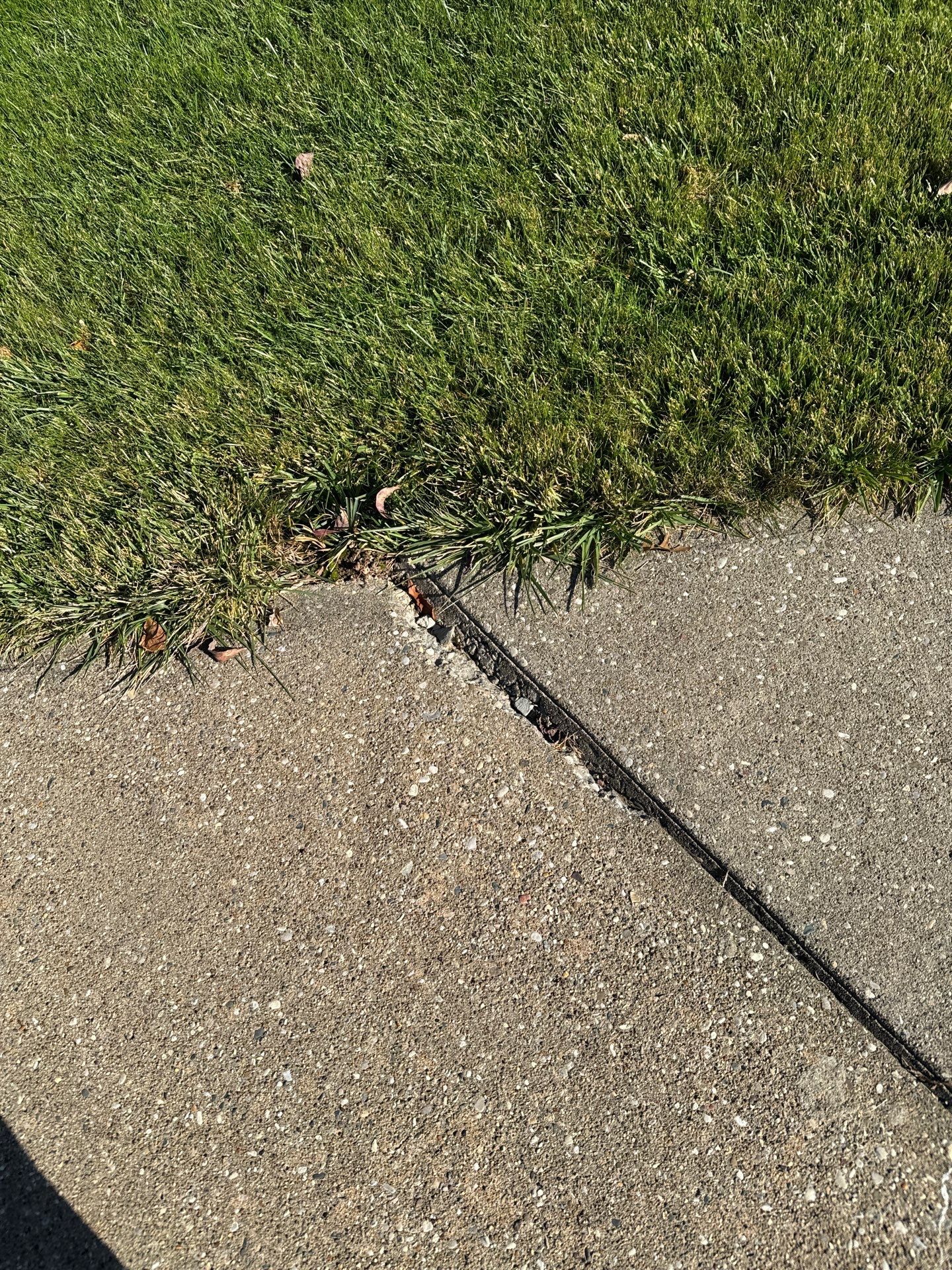 Twilight Driveway Project in Bridgeville by Floors in a Day, Inc