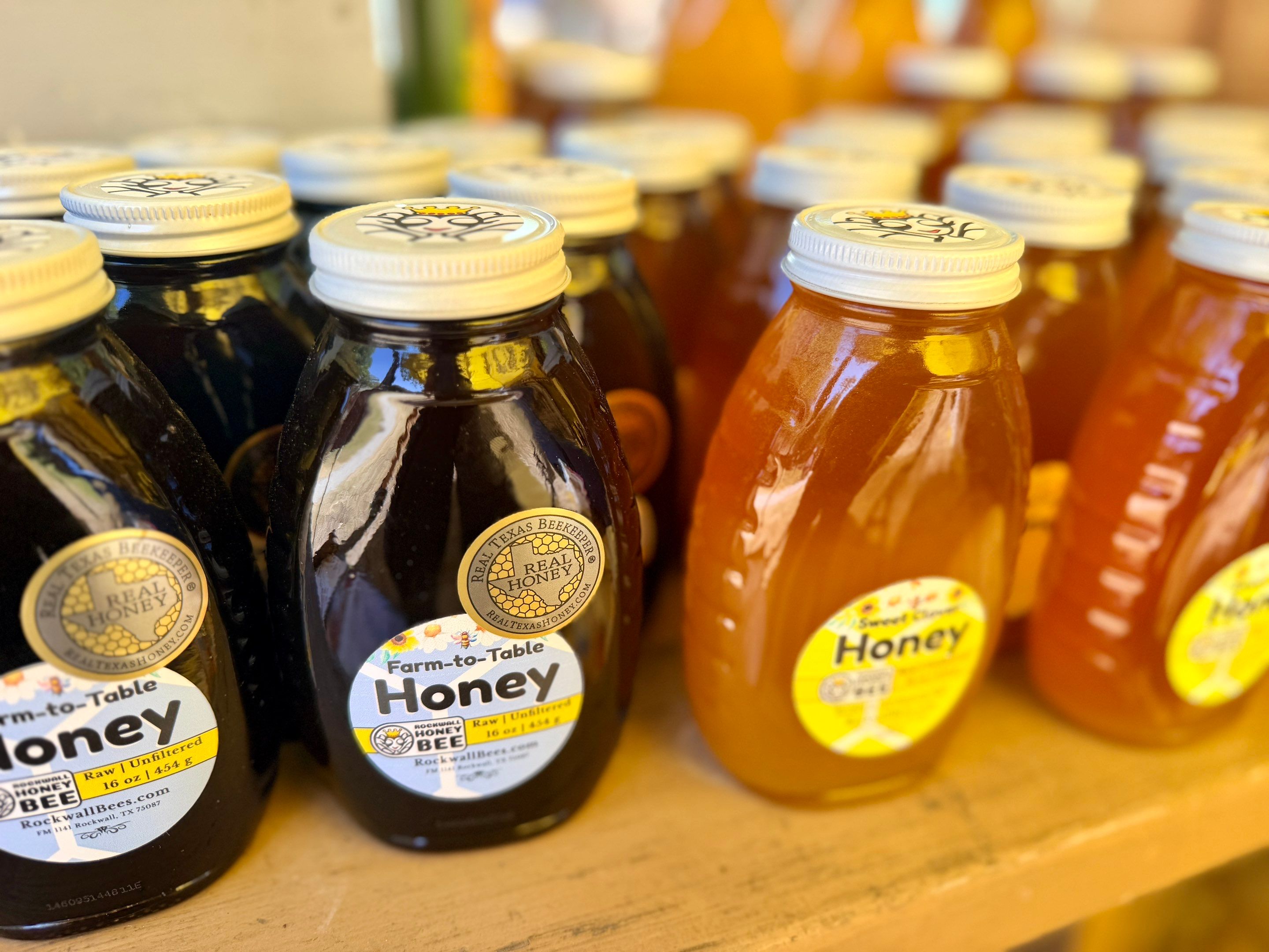 Texas Mead & Music Festival by Rockwall Honey Bee Company