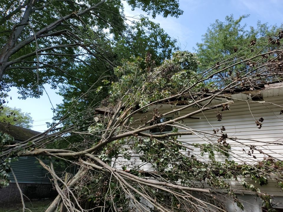 Storm Damaged Tree Removal  by Mike Jones & Sons Tree Service LLC 