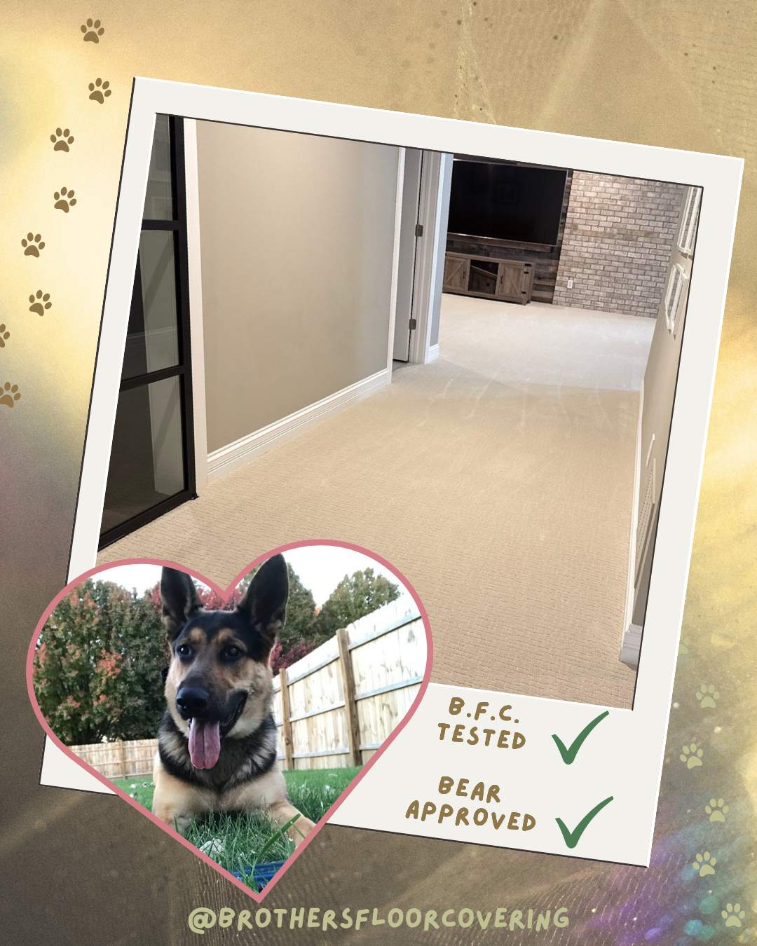 Pet-Friendly Anderson Tuftex Carpet Installation in Indianapolis by Brothers Floor Covering INC.