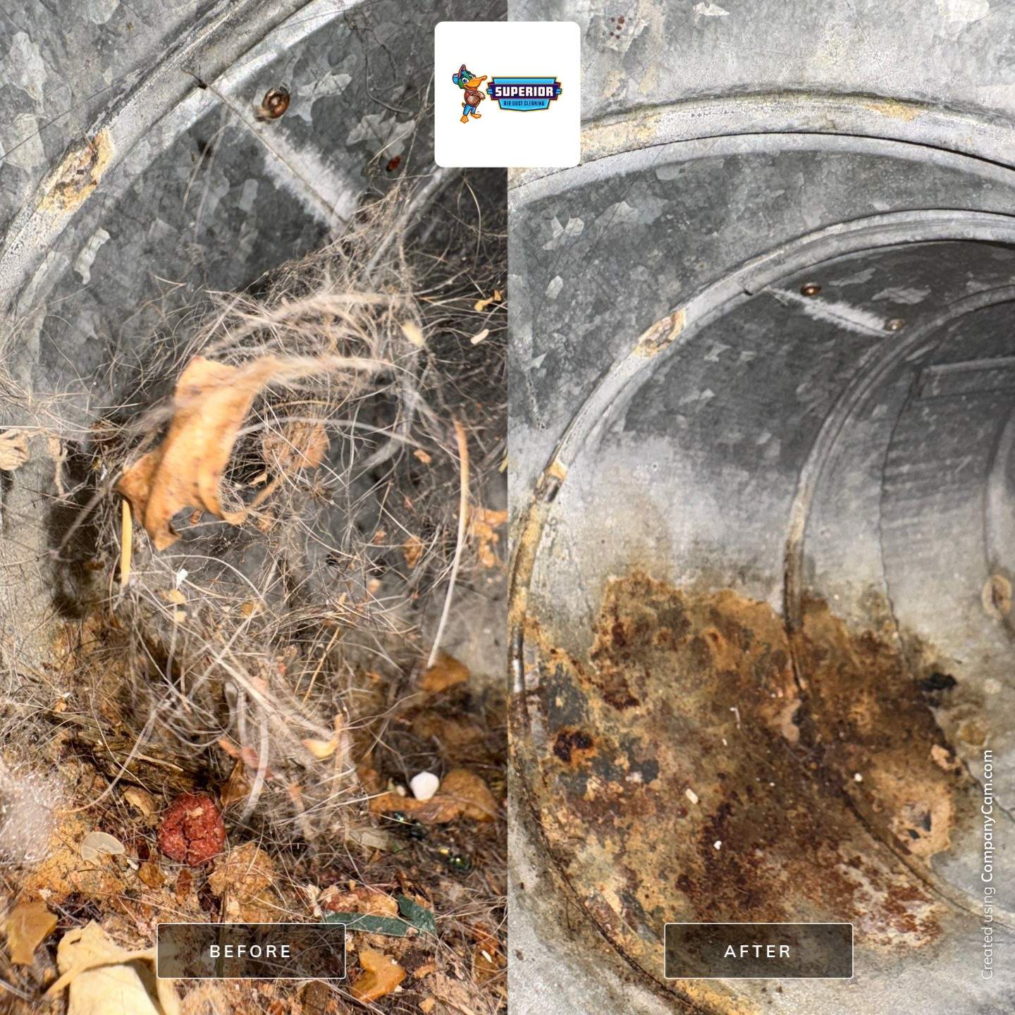 Air Duct Cleaning in Warren, OH by Superior Air Duct Cleaning