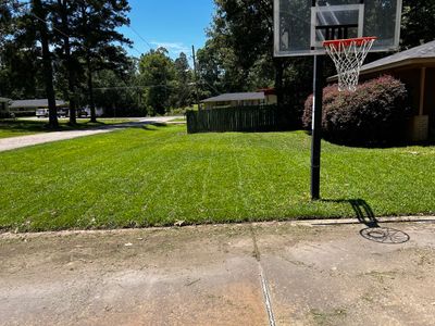 Bi Weekly Lawn Mowing and Edging