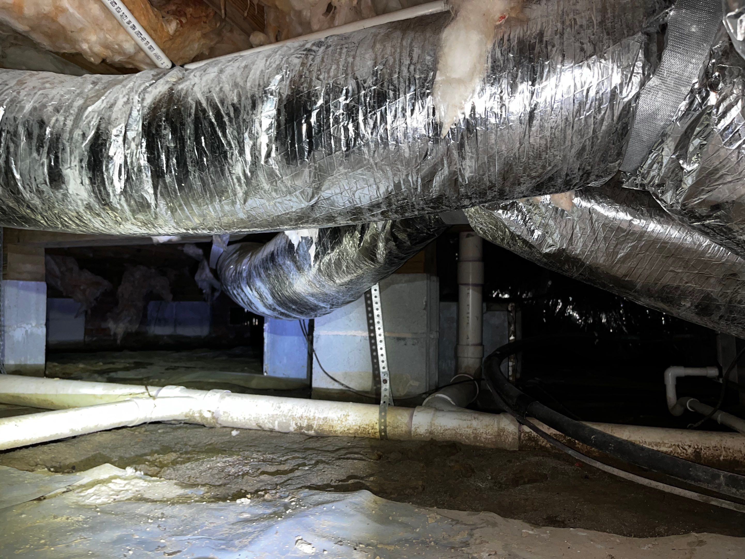Impact Choice Encapsulation with French Drain and Crawlspace Doors by Impact Crawlspace