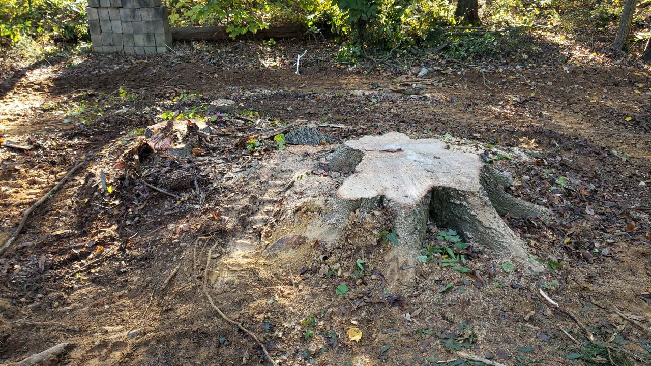 land clearing using machinery by Power Wash Masters LLC