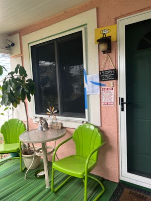 Project in St. Petersburg 33704