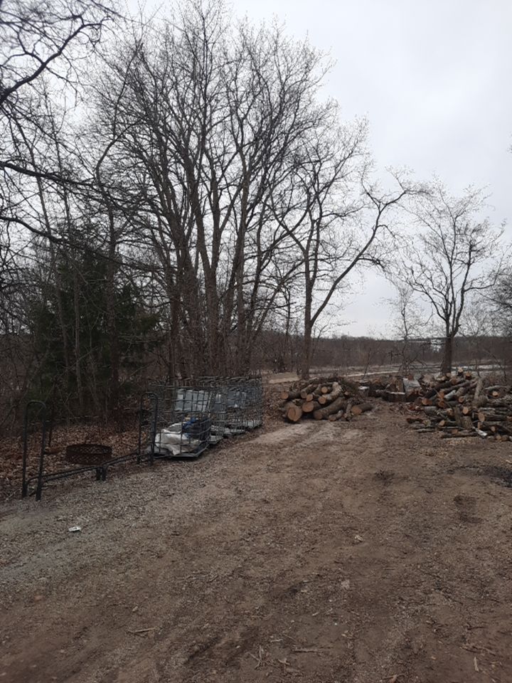 Tree Removal using Tree Removal by Mike Jones & Sons Tree Service LLC 