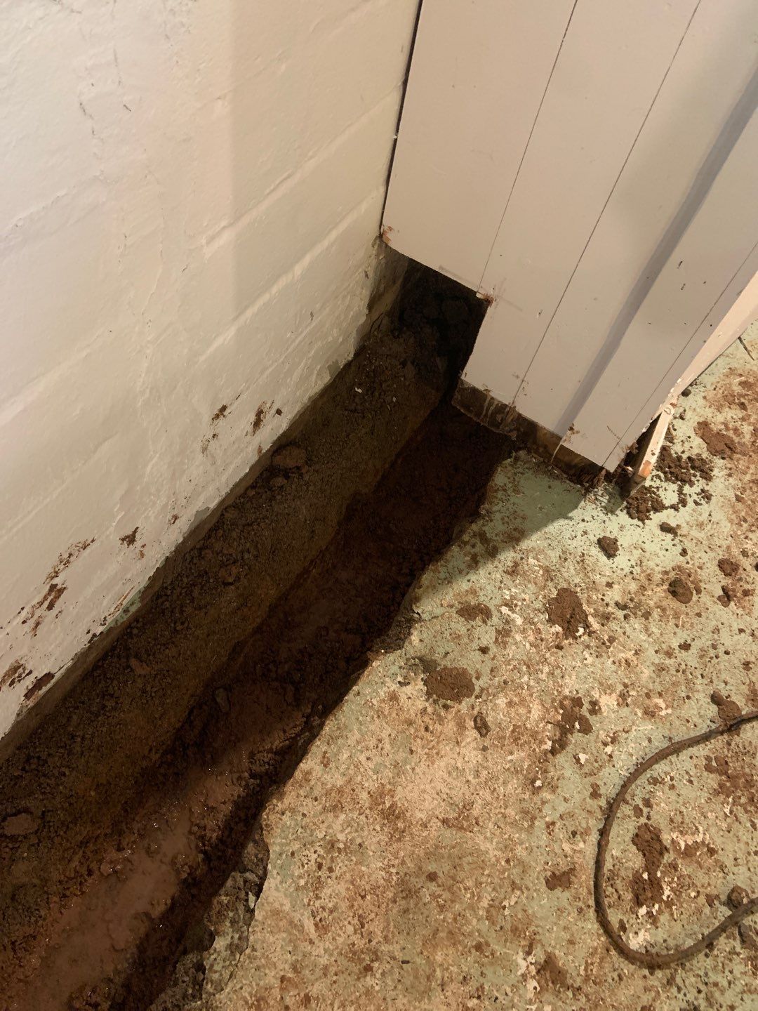 Helping Diane Protect Her Home by Waterproofing Northeast