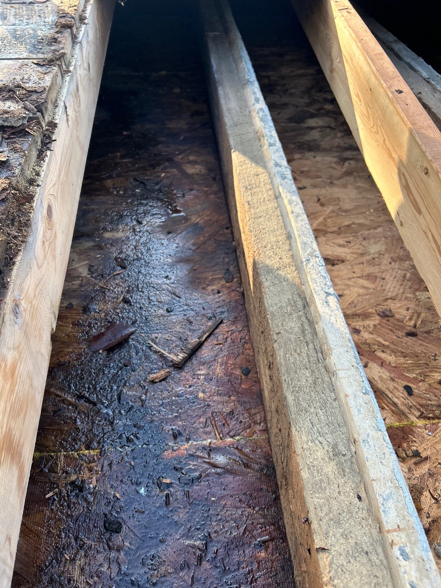 Project in Bridgeport by Duarte’s Roofing 