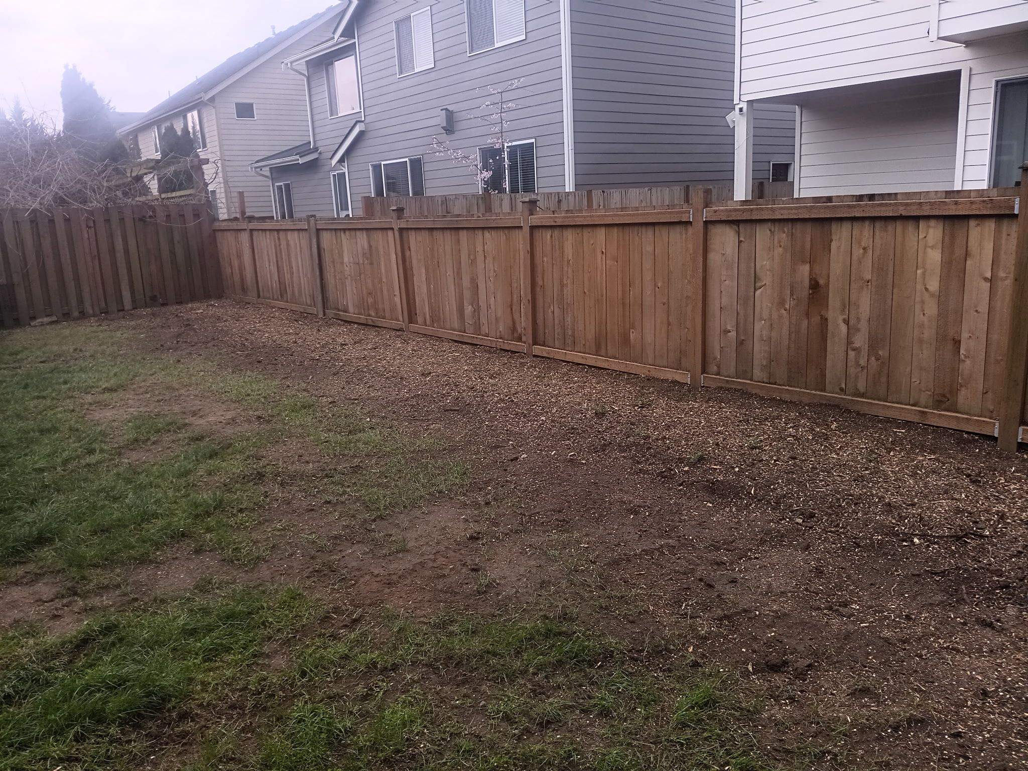 Tree Removal & Stump Grinding in Maple Valley (Residential Property Line Project) by Sound Tree Care LLC