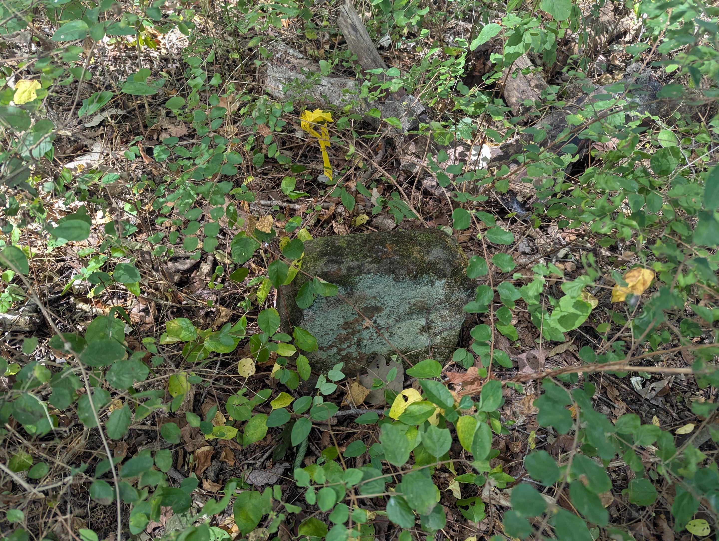 Unmarked Grave Scan by Alsip Locating Service, LLC