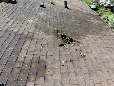 Emergency Roof Repair and Sheathing Replacement in Council Bluffs