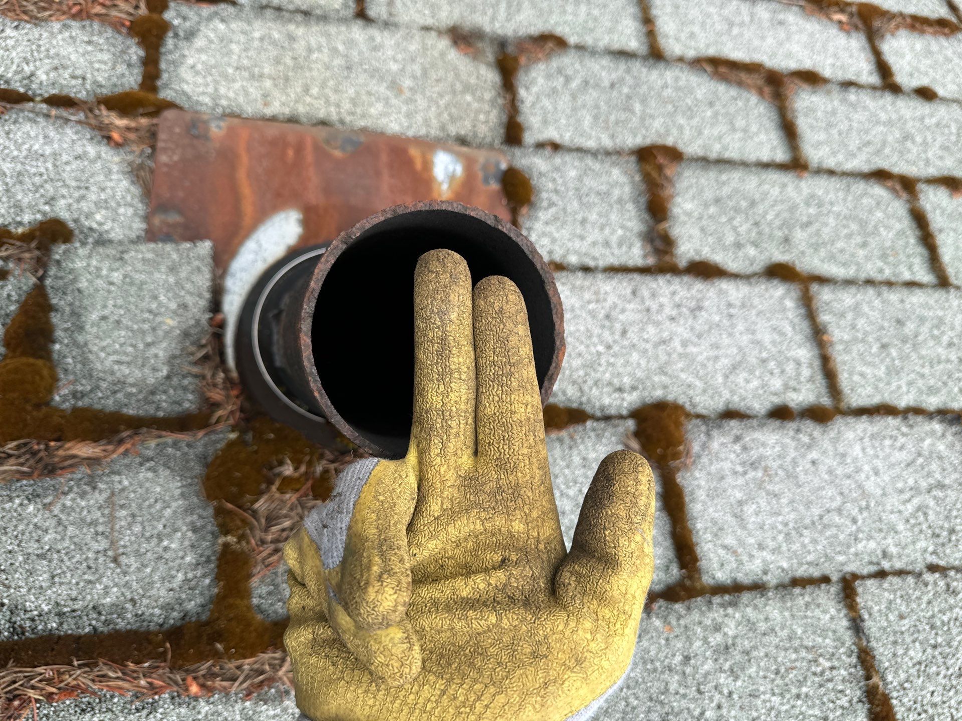Project in Seattle by Peaks and Valleys Construction