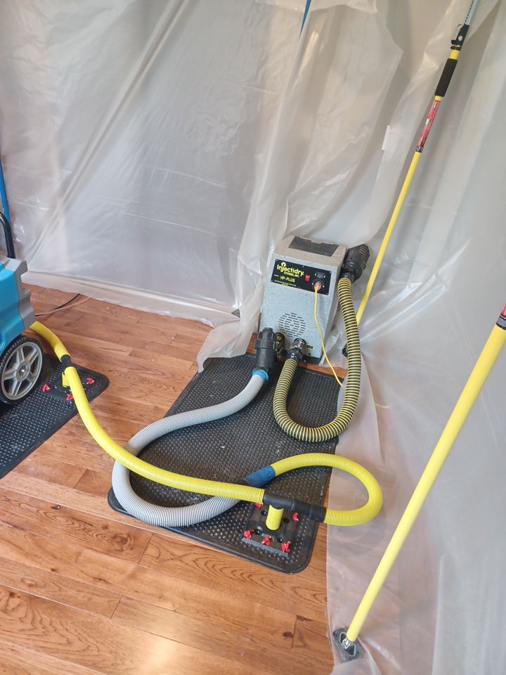 Project in Brighton by EzDry Water Mitigation & Property Restoration