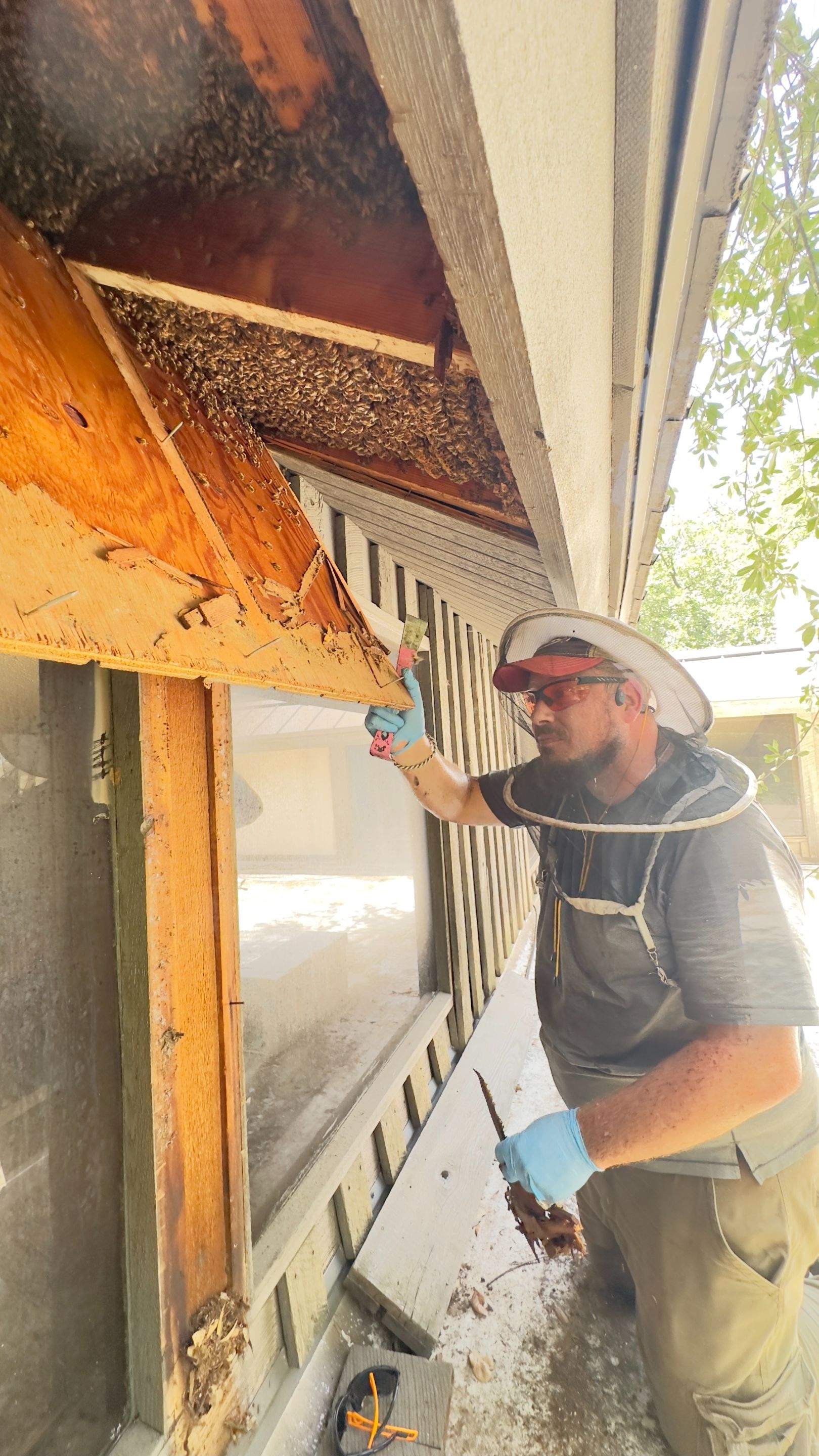 Old Faithful by Rockwall Honey Bee Company