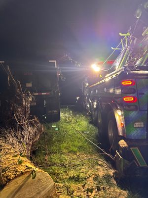 Project in Nitro, WV 	Rotator Crane Lifts Tree Off House | Nitro WV 	•	One Wrong Move Job | Rotator Crane Tree Removal 	•	Heavy Rescue Tree Job | Nitro WV 	•	Extreme Tree Removal Over Home | Nitro WV