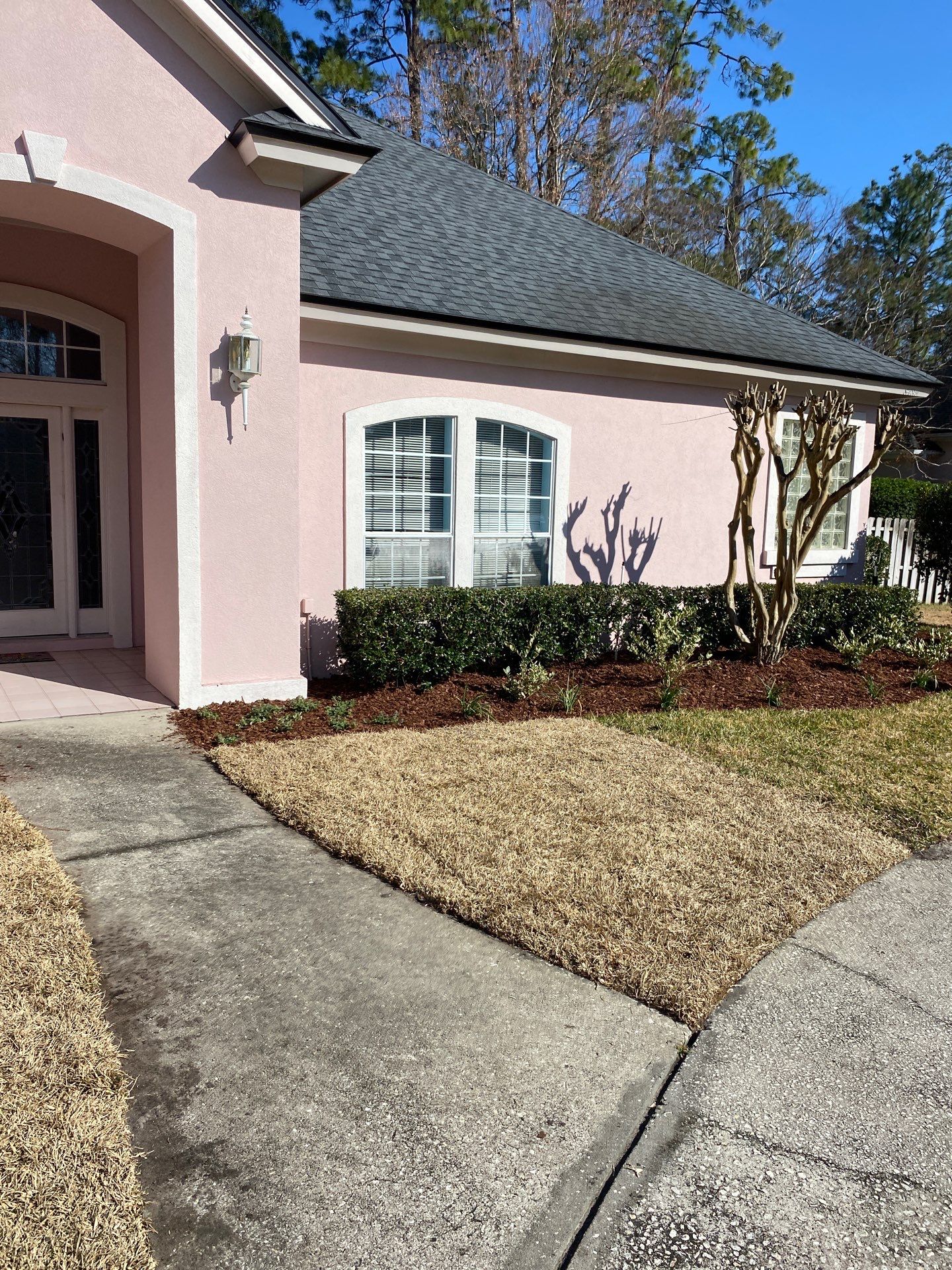 Deerwood Resident | Tree Removal & Clean-Up by ProGreen Services