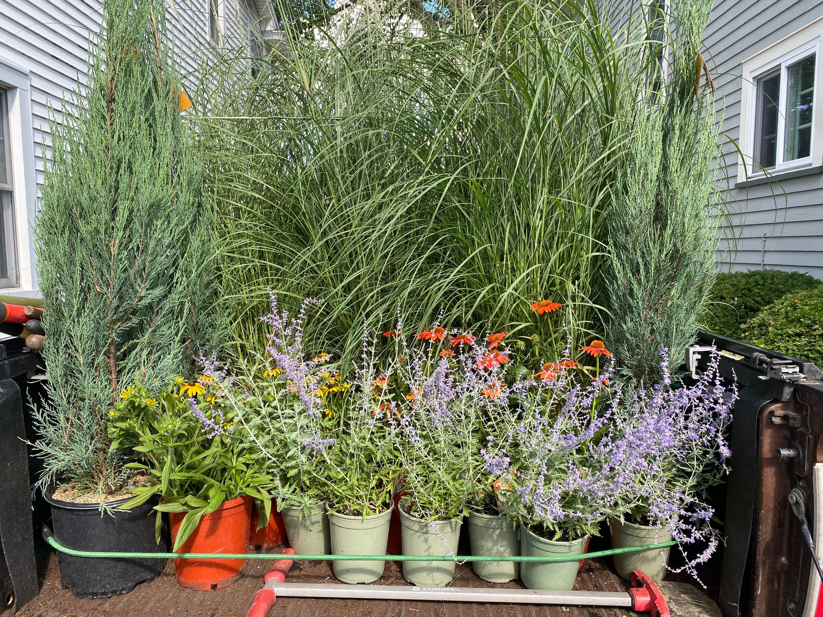Green Fenceline Install by Elm Rose Gardens