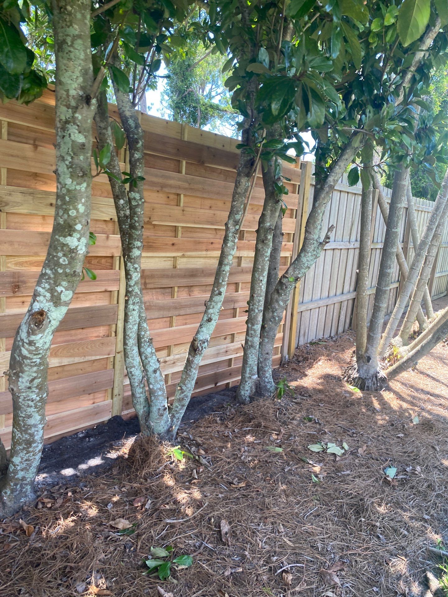 1657 Bayshore Dr  by H&Y Fence