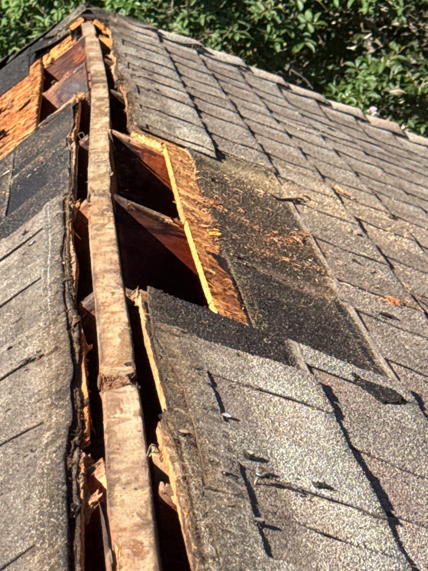 Roof Repair Spring by Roof Repair Company