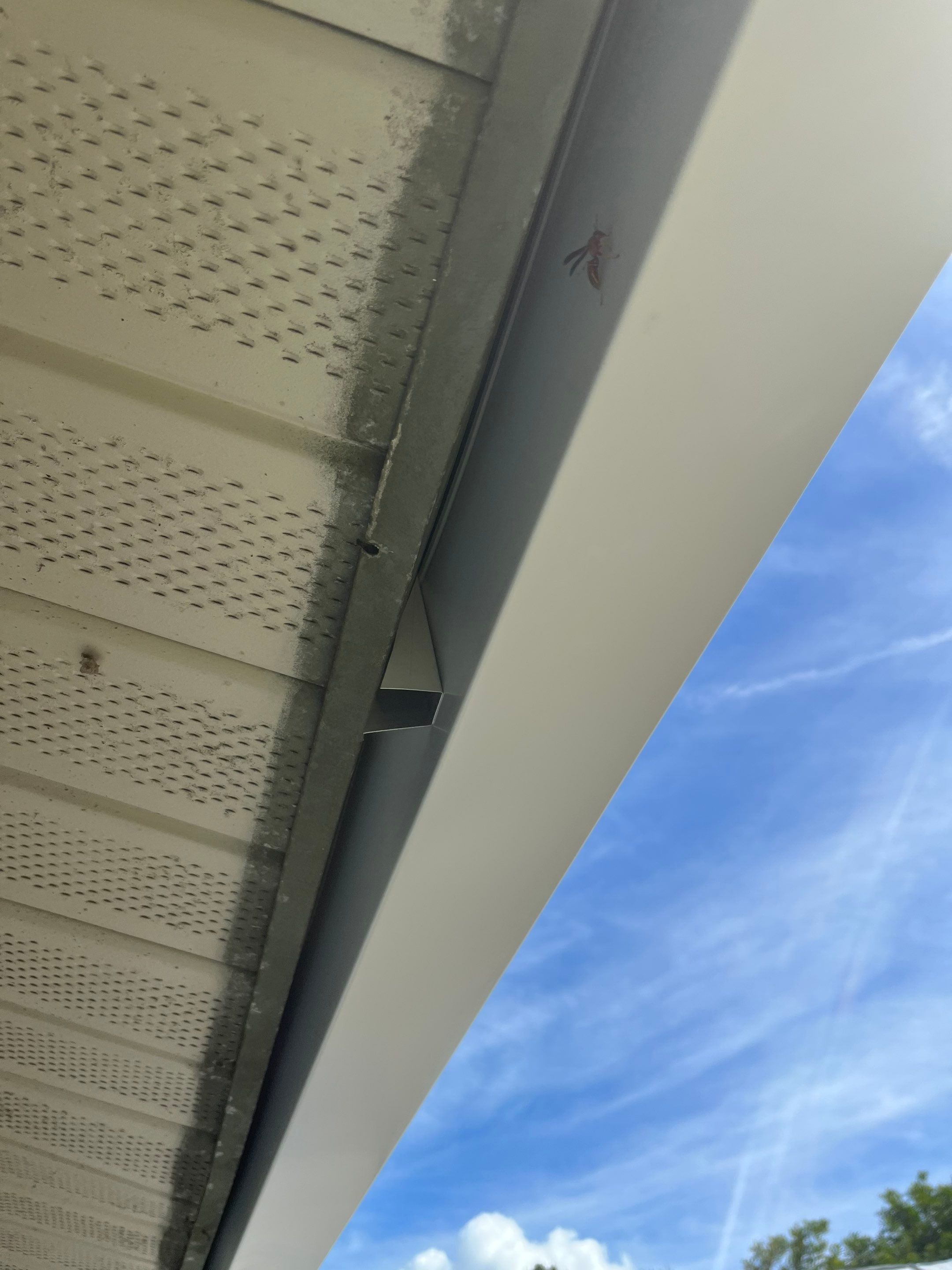 White 6-inch K-Style Gutters for Sarasota Homes by Gutter Professors