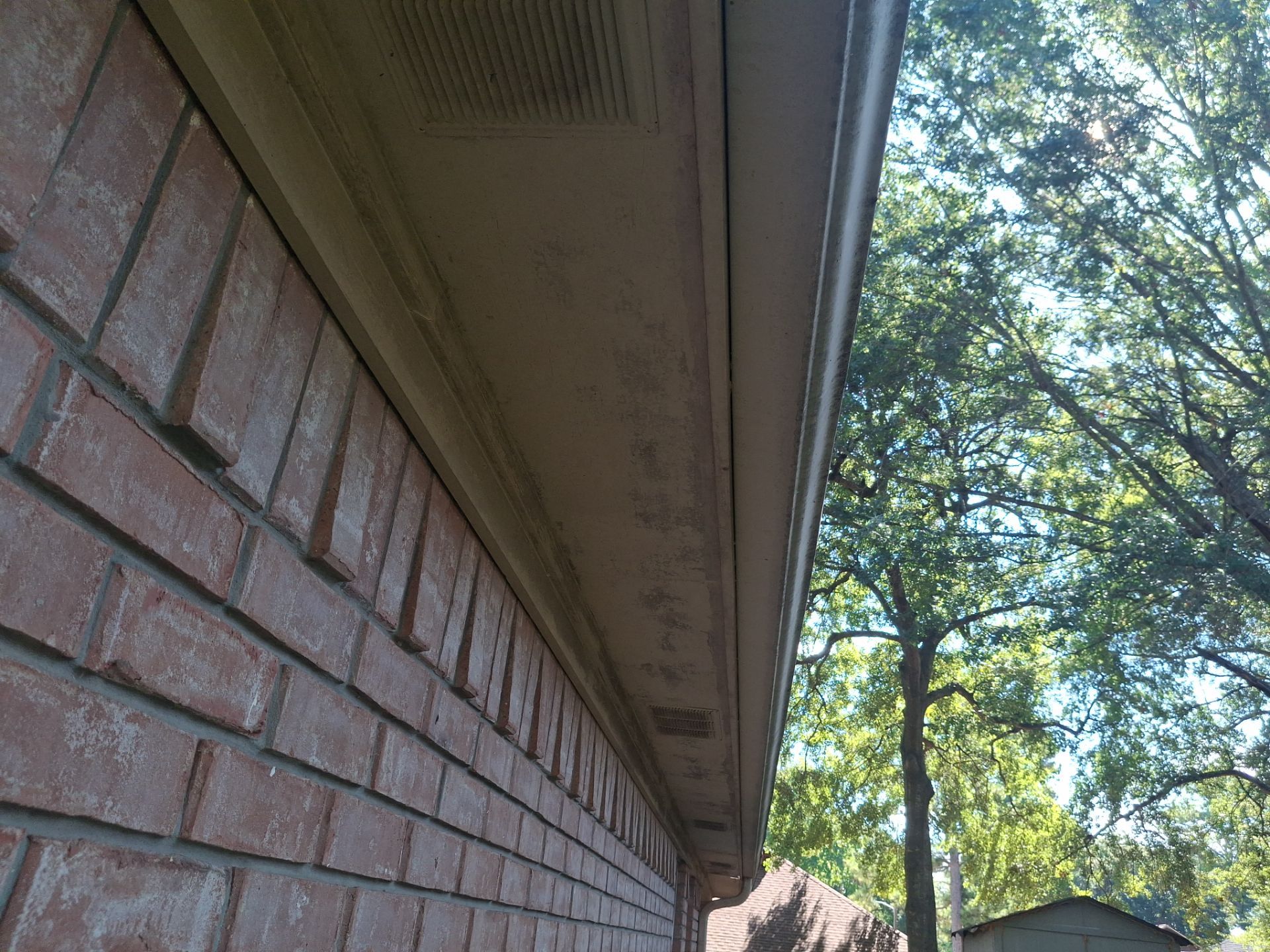 From Peeling Paint to Stunning Olive Green | Longview, TX Exterior Paint Job by Quality Coats Painting