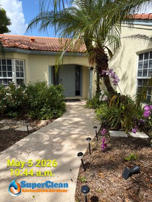 Mold Remediation Assessment for Wellington Residence