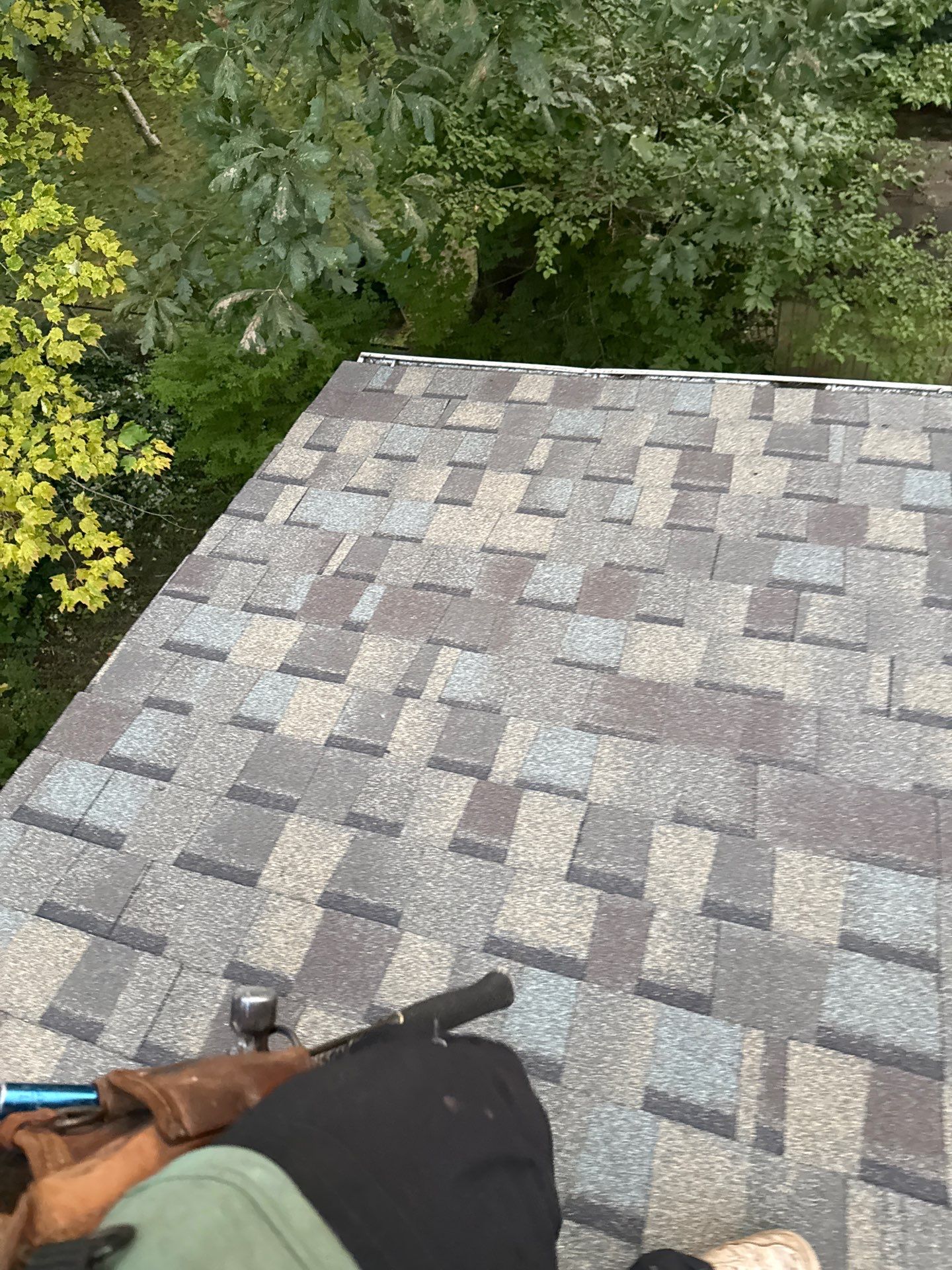 Springfield : Residential Roof Replacement with CertainTeed Landmark Pro in Max Weathered Wood  by RM Banning, Inc.