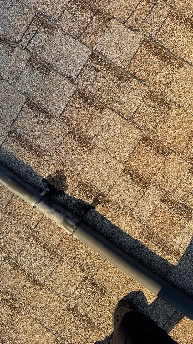 Project in Galt  by NuLead Construction Inc