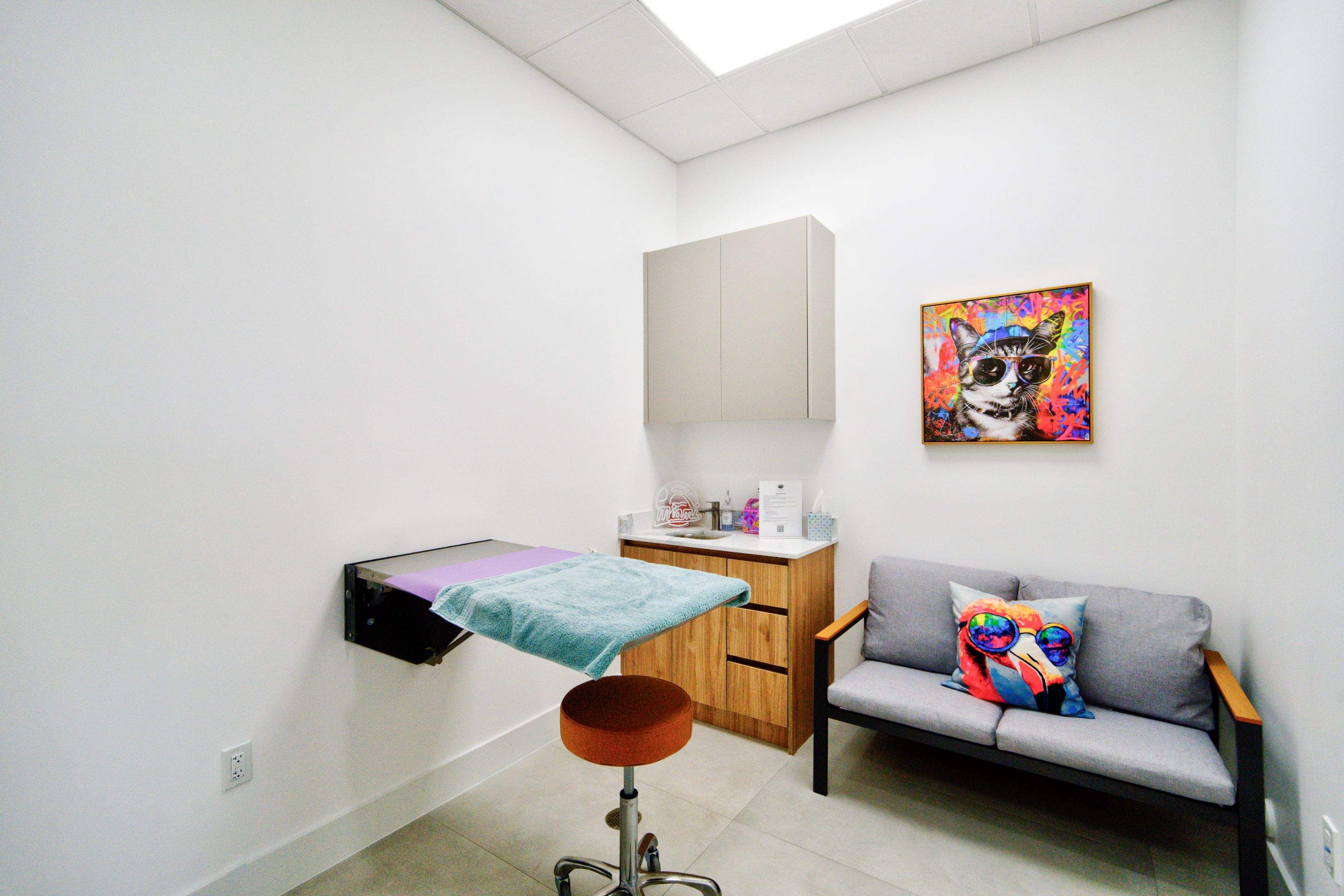 Happy Pet Eyes by Ruiz Construction Inc