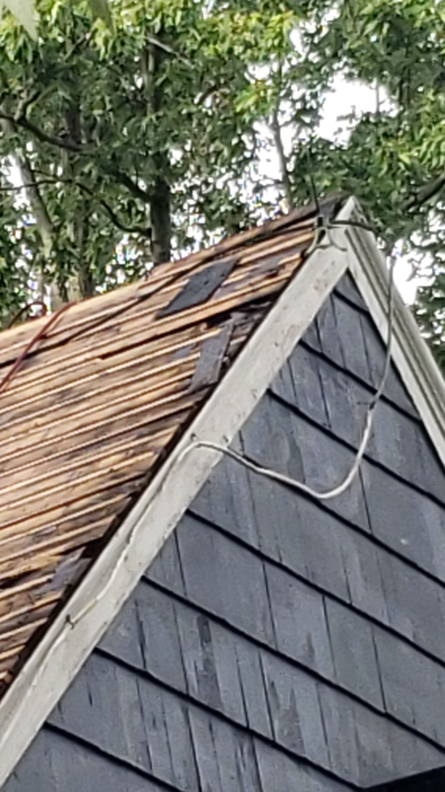 Atlas Pinnacle Pristine Scotchgard: Black Drip Edge: Black by Eagle Eye Roofing