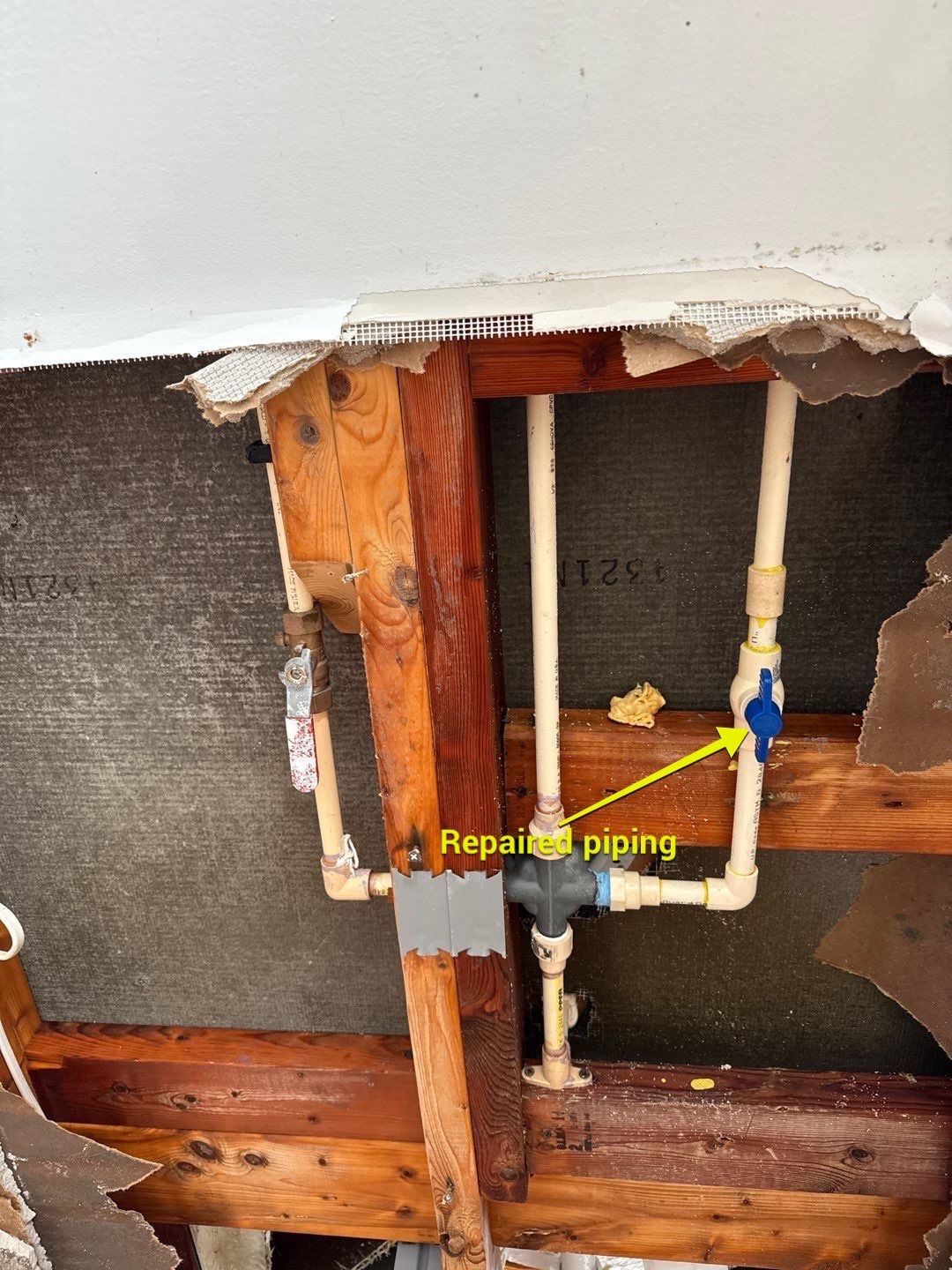 Large‑Loss Water Damage, Structural Drying & Mold Remediation – Rehoboth Beach, DE by Healthy Home Solutions