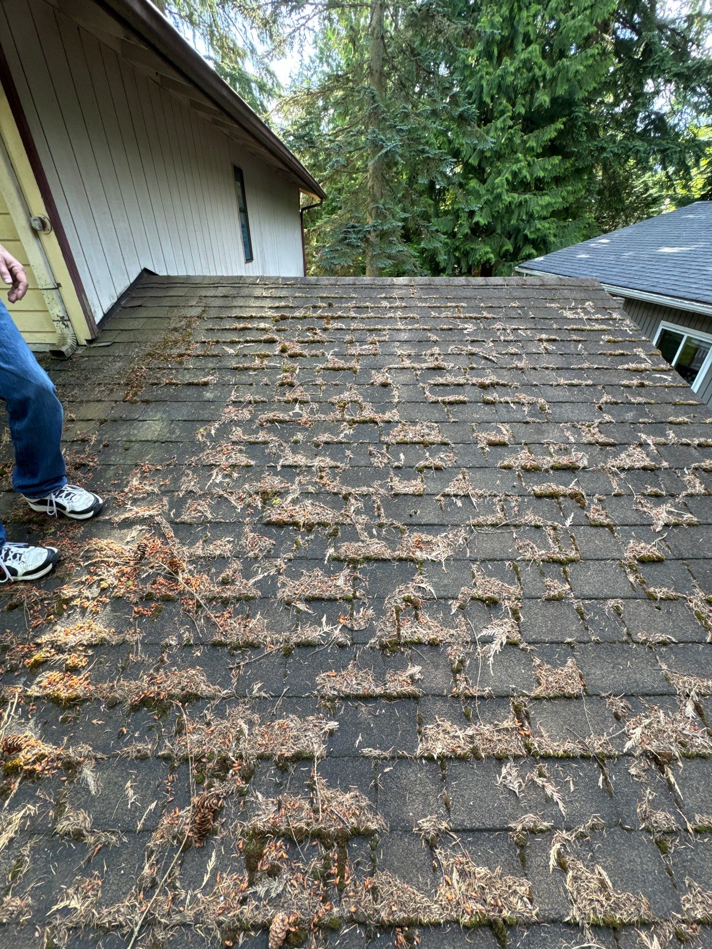 Project in Edmonds by Peaks and Valleys Construction