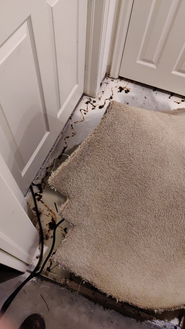 Water Damage by Accountable Home Services