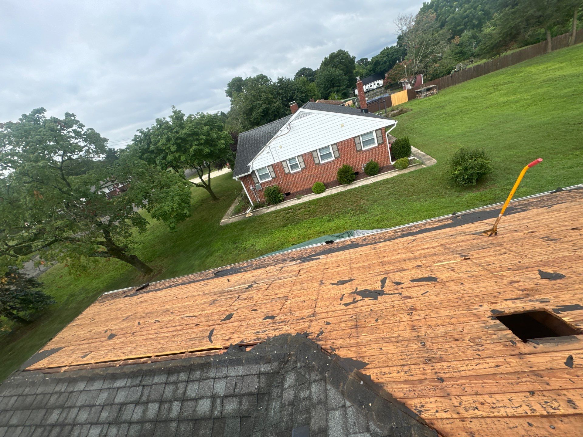 Silver Birch Shingles by Reimagine Roofing