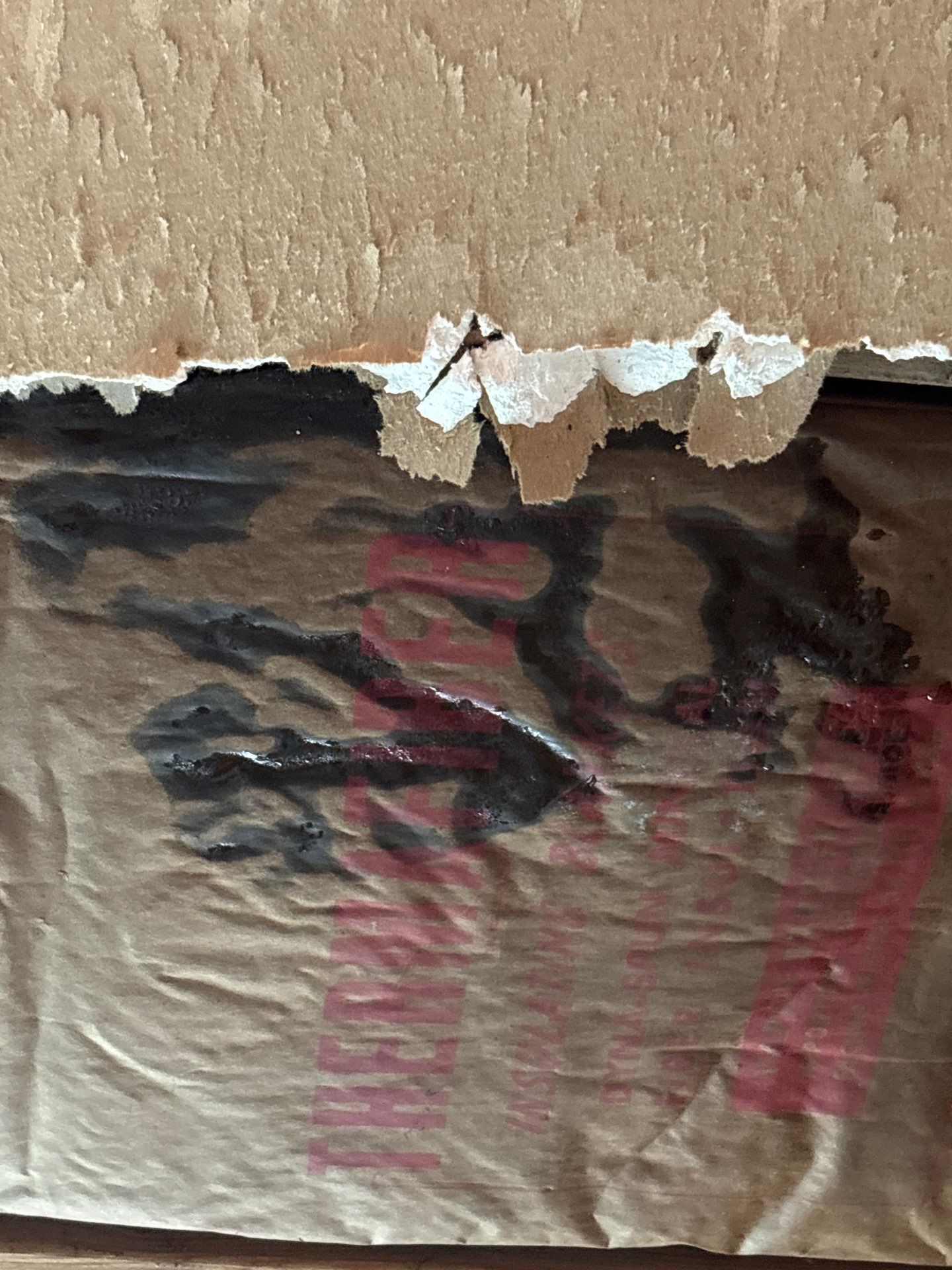 Seattle WA, GAF Everguard TPO  by Proline Roofing & Restoration LLC