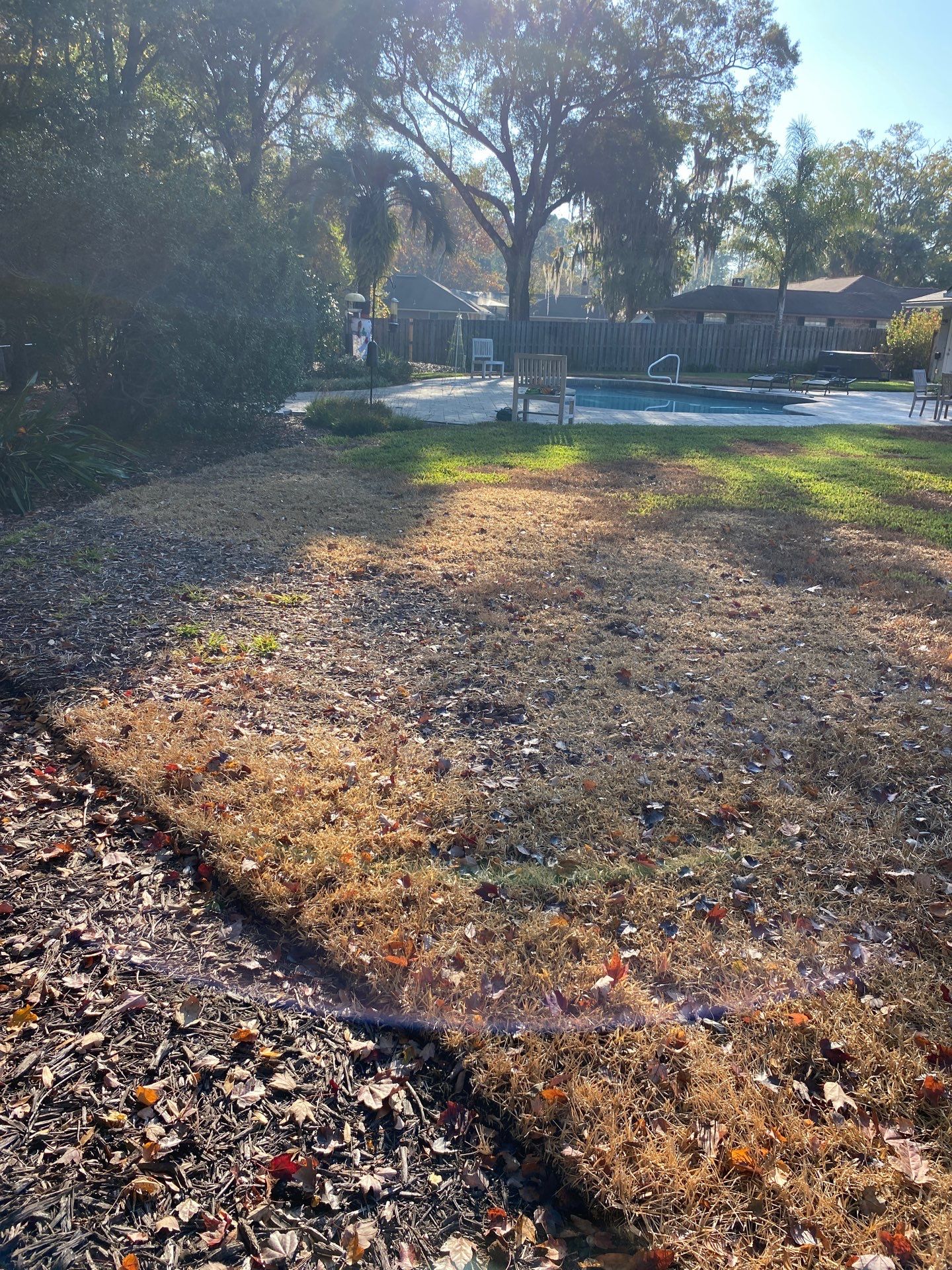 Deerwood Resident | Winter Sod Replacement by ProGreen Services