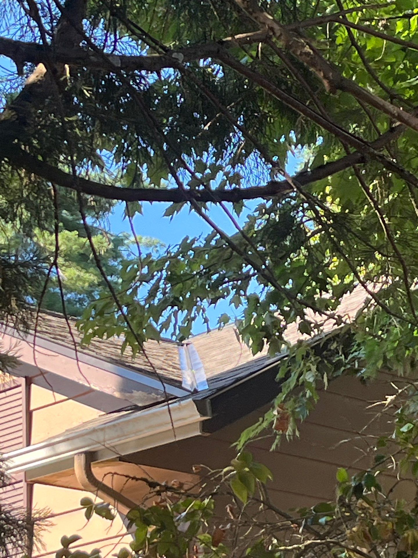 Project in Portland by Tom Leach Roofing