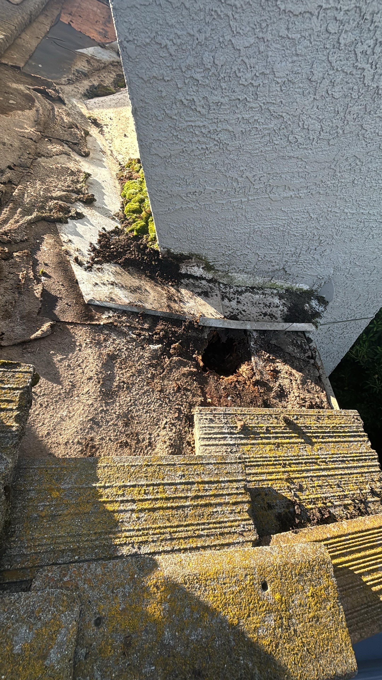 Project in Elk Grove  by NuLead Construction Inc