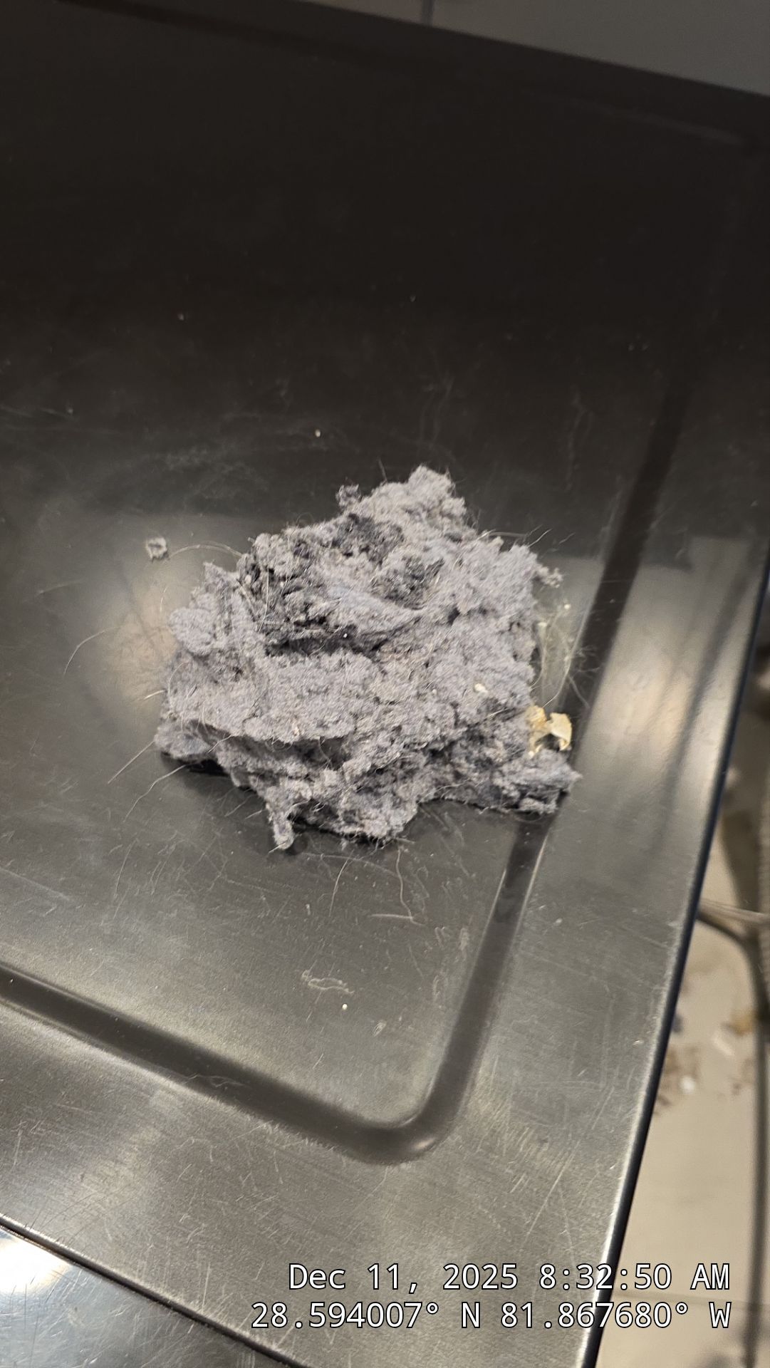 Dryer Vent Cleaning in Groveland by Hygienic Air, Inc