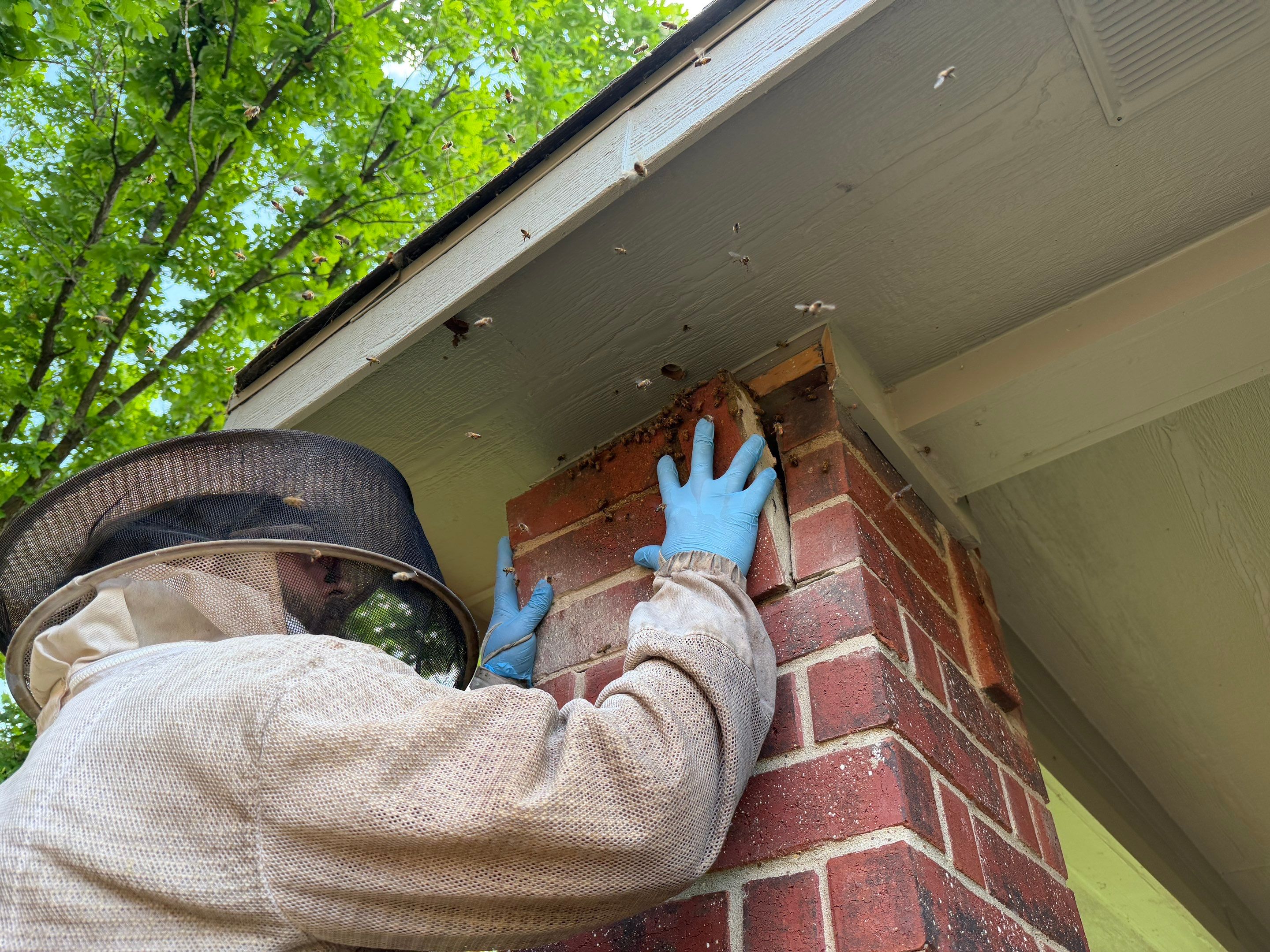 Brick Column by Rockwall Honey Bee Company