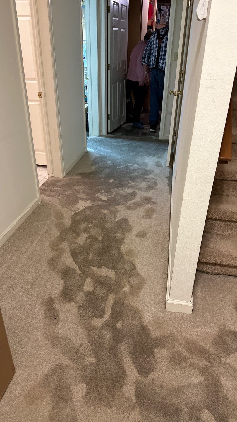 Water Damage by Accountable Home Services