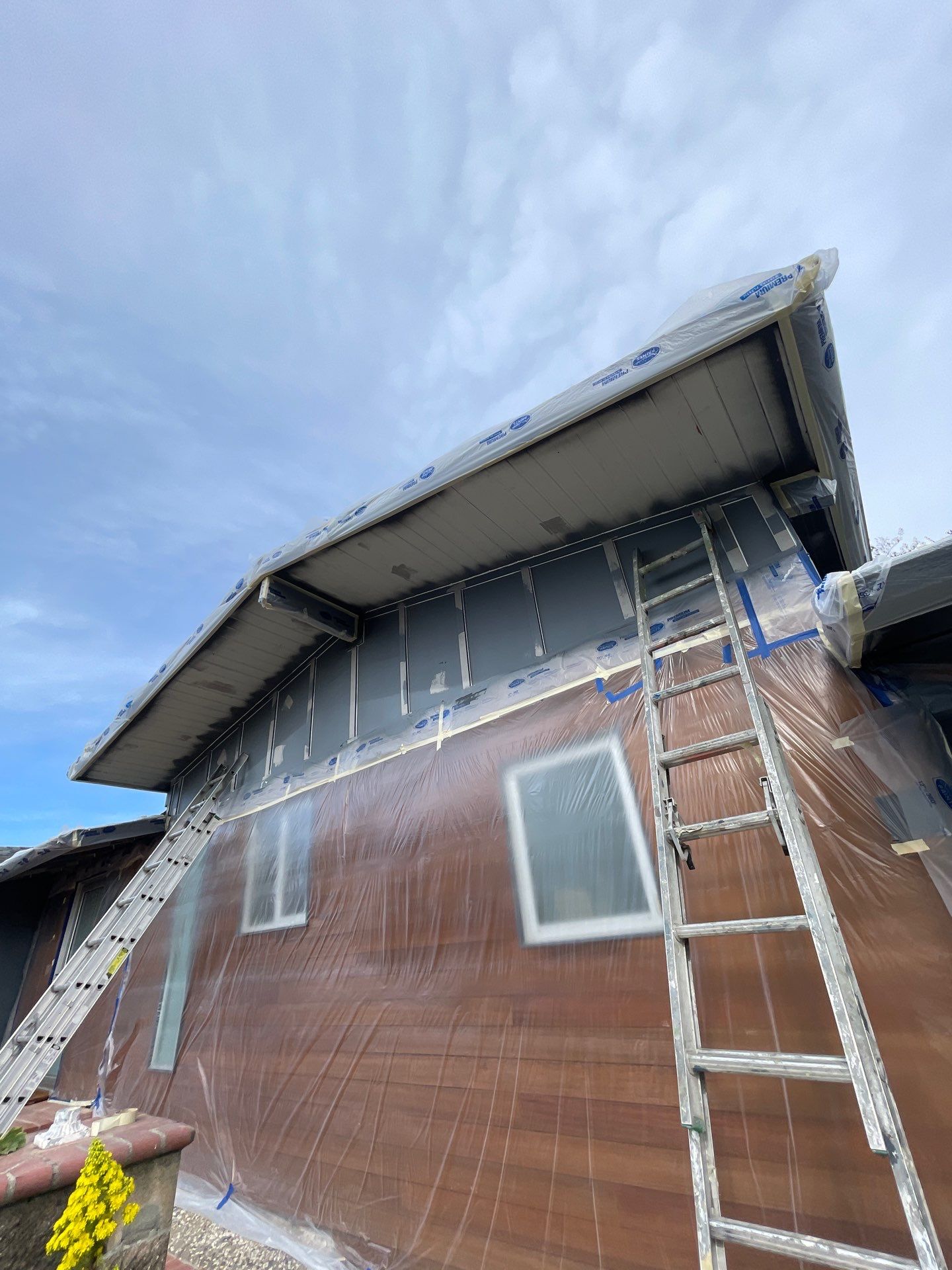 modern painting Exterior modern painting by Herrera’s Bay Area Painting inc.