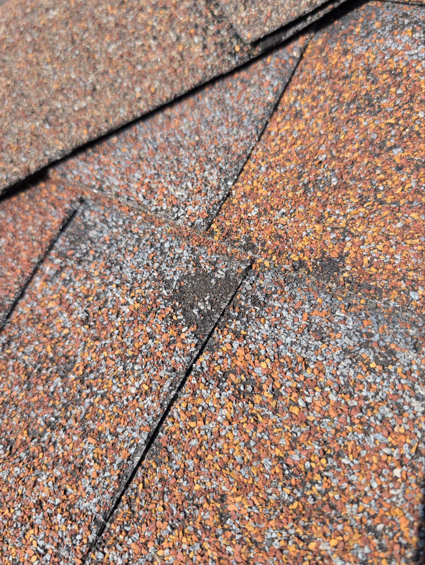 Roof Replacement & Seamless Gutters in Ozark by Table Rock Design + Build