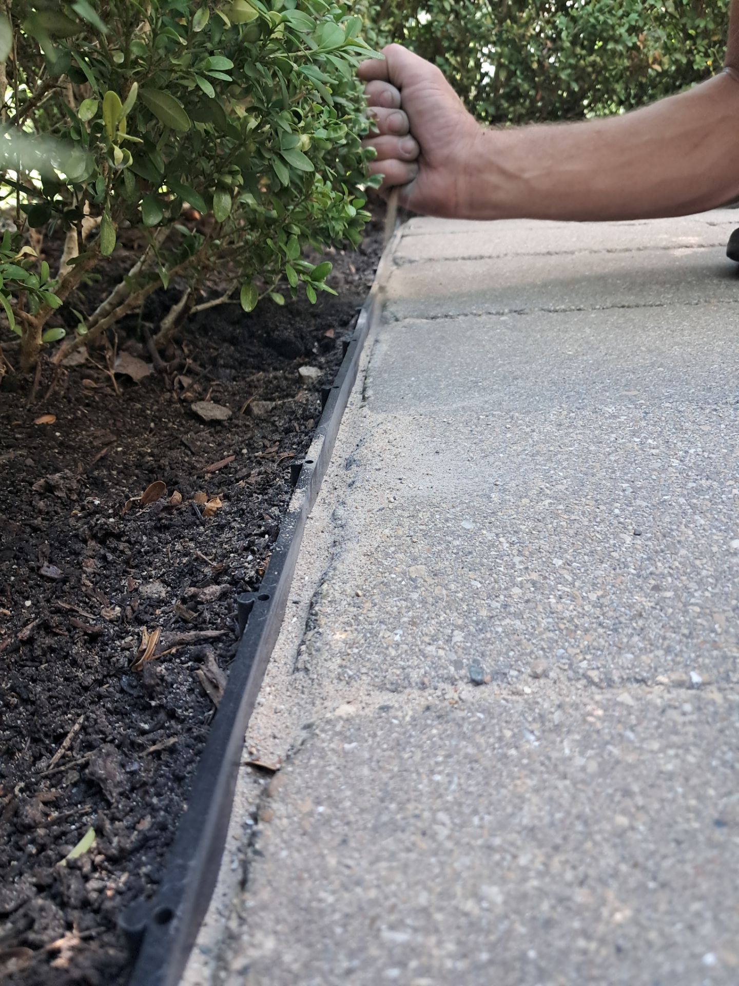 Highland Park, Brick paver cleaning sanding and sealing   by Northern Power Washing LLC.