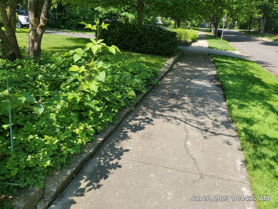 natural stone cleaning using Algaecide, soft wash soap by Northern Power Washing LLC.