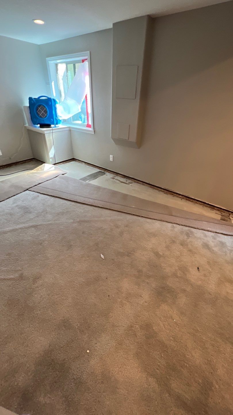 Mold Remediation  by Accountable Home Services