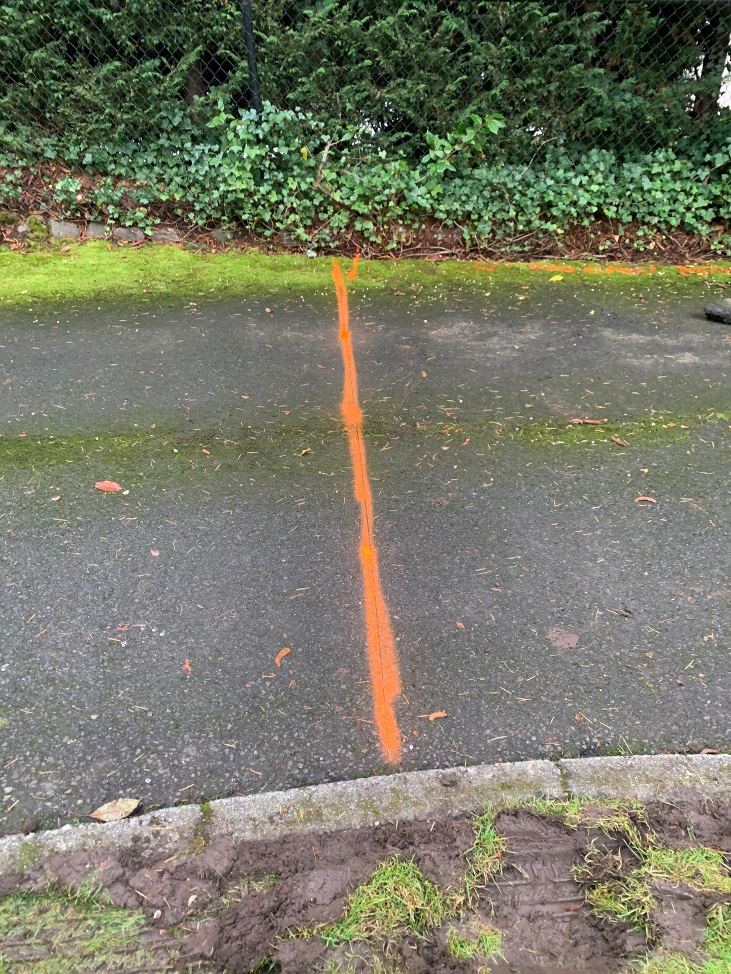 Asphalt Patch Repair | Bellevue  by Jireh Asphalt & Concrete Inc 