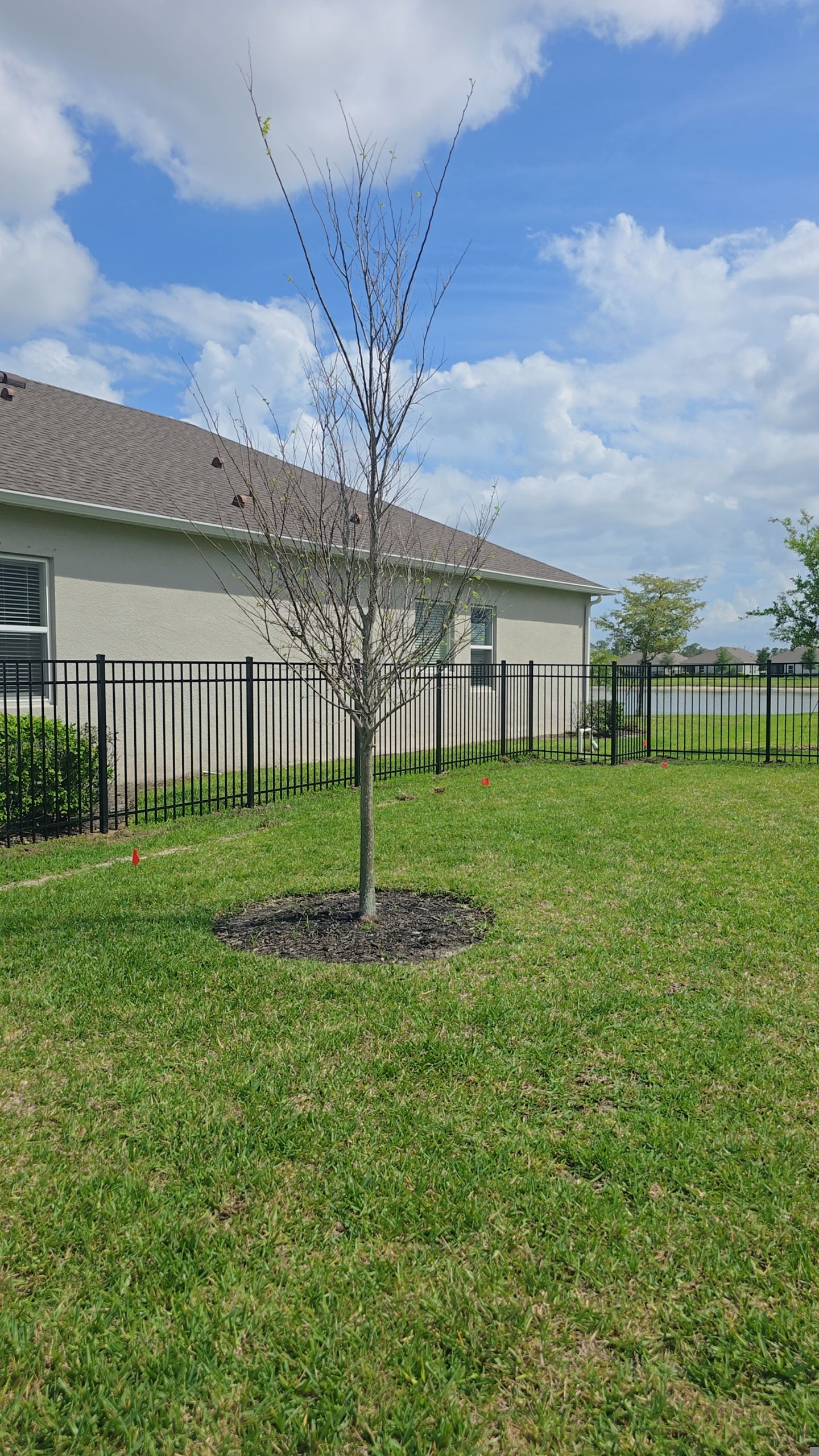 Aluminum Fence in West Port by True Fence LLC