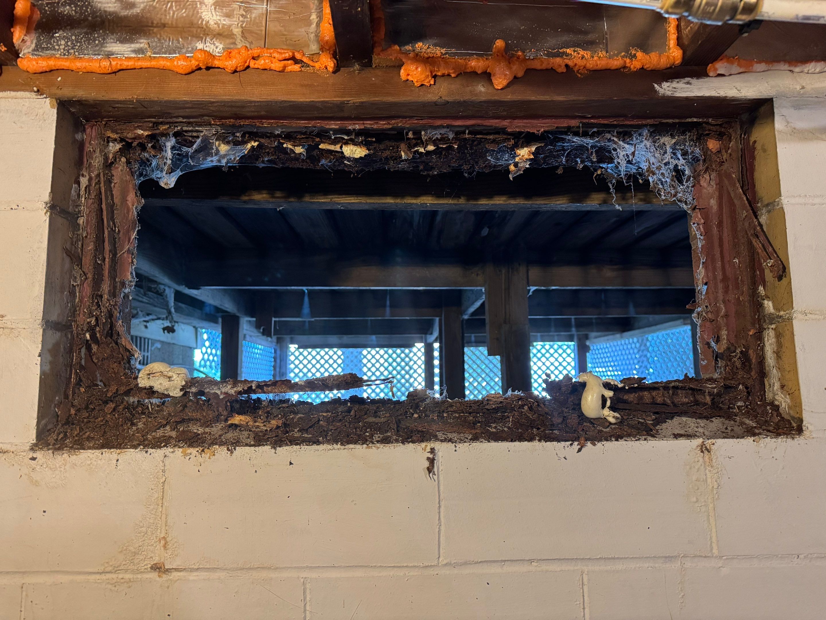 Windows in Canton by Ohio State Windows